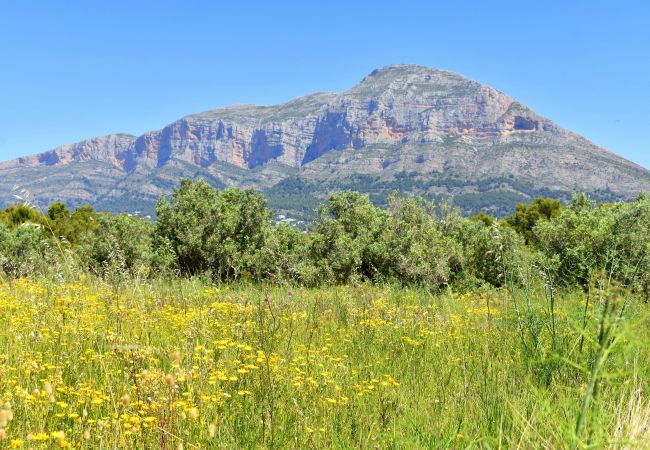 Chalet à Javea - Casa la Plana Javea - 5024